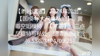 【新片速遞】 2024年流出，【国模4K大尺度私拍】，黄甫空姐模特，【莱迪】，三点尽露特写私处，超清画质欣赏[6.55G/MP4/09:25]