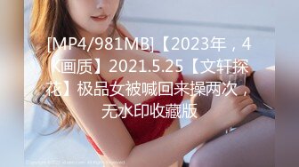 [MP4/981MB]【2023年，4K画质】2021.5.25【文轩探花】极品女被喊回来操两次，无水印收藏版