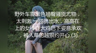 野外车震黑色翘臀骚货尤物，太刺激 一碰就出水，高高在上的女神在大鸡巴下姿意承欢，被人草的越狠约开心 (3)