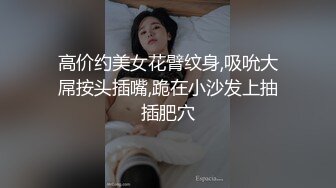 高价约美女花臂纹身,吸吮大屌按头插嘴,跪在小沙发上抽插肥穴