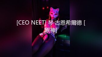 [CEO NEET] 琴·古恩希爾德 [原神]