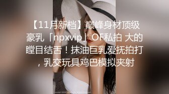 【11月新档】巅峰身材顶级豪乳「npxvip」OF私拍 大的瞠目结舌！抹油巨乳爱抚拍打，乳交玩具鸡巴模拟夹射