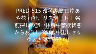 PRED-515 改名専属 山岸あや花 再誕、リスタート！ 名前探しの旅→休養中禁欲状態からお久しぶりの中出しセックス！5時間SP (1)