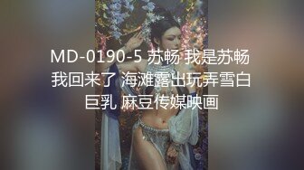 MD-0190-5 苏畅 我是苏畅 我回来了 海滩露出玩弄雪白巨乳 麻豆传媒映画