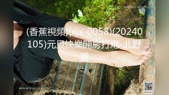 (香蕉視頻)(xjx-0058)(20240105)元旦快樂開房打炮-北野愛