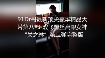 91Dr哥最新顶尖豪华精品大片第八部-双飞黑丝高跟女神“关之琳”第二弹完整版