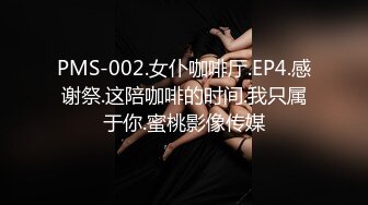 PMS-002.女仆咖啡厅.EP4.感谢祭.这陪咖啡的时间.我只属于你.蜜桃影像传媒