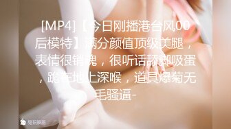 【网红摄影❤️嫩模女神的秘密】顶级色影大神胯下的极品反差女神们❤️黑丝后入爆操