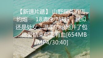 韩婧格，快手网红4部曲事件，又名12视频事件