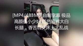 黑丝轻熟女，露脸深喉口交技术精湛，无套后入