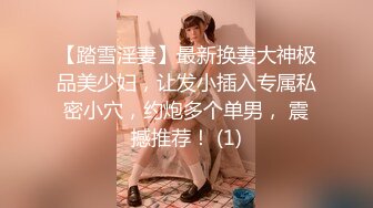 【踏雪淫妻】最新换妻大神极品美少妇，让发小插入专属私密小穴，约炮多个单男， 震撼推荐！ (1)