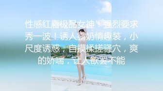 可以做爱的胸部ＰＵＢ２