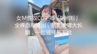 [MP4/579M]3/12最新 自己漏出性感的大奶子逼逼特写道具抽插浪叫不断VIP1196