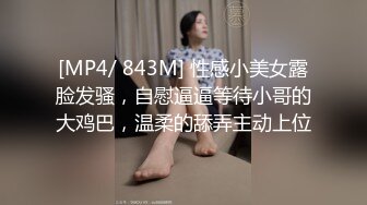 推荐极品美图 二次元美少女 过期米线线喵 三套情趣诱惑图[161P/470M]