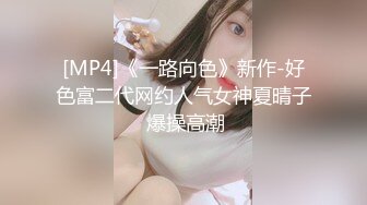 后入＋女上位＋淫语