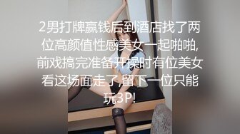 搽搽 NO.06 女仆黑丝