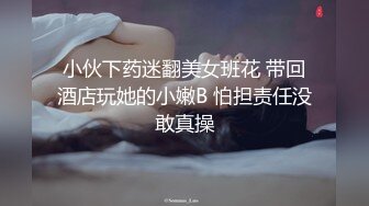 少女情怀总是诗