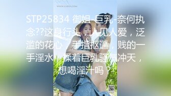 高清无水印珍藏版 高铁女神乘务员和靓丽的女乘客 (6)