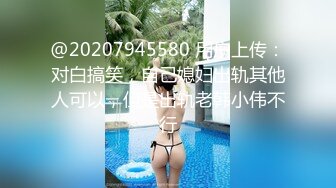 (HD1080P H264)(ダスッ！)(dasd00809)妹の子供になりたい…事あるごとに授乳してくれる母性ある妹。ひなた