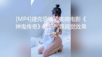 麻豆春游记兔子先生淫过年