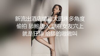 【三级】《绝妙的芭蕾舞》