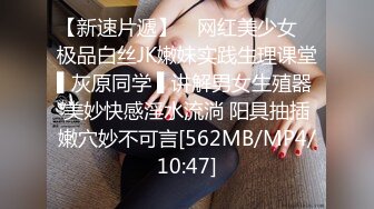 [MP4]麻豆传媒女神乱爱系列MDX-256《爆乳蕾姆的3P性爱派对》温腥圣诞限定 赵晓涵