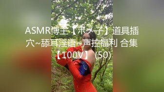 @116英国金发白虎