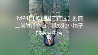 曾经火极一时的汤不热人妻交换系列