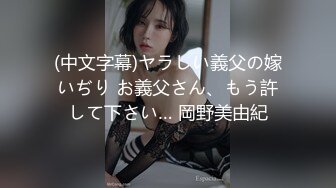 张思允美女写真图集合集【14V】 (6)