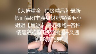 最新未流出破解版，新晋爆火舞团【艺舞吧】高颜值极品身材纹身女神【乐乐】各种情趣透视露奶露逼热舞挑逗 (8)