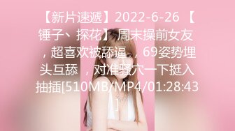 [MP4/ 510M]&nbsp;&nbsp;清新白虎美少女 天花板级白虎女神米胡桃乖巧听话女仆提供每日鸡巴清扫服务