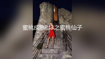 【李总探花】酒店约操良家骚女，掰开双腿摸穴，埋头舔屌活不错，怼着骚穴抽插