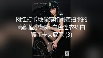 新购买解锁摄影大师PureBeauty作品绝美巨乳《芳语》香。高清