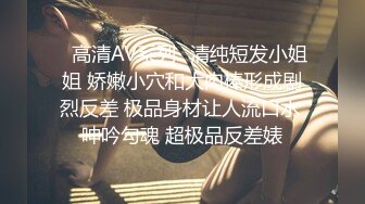 密友.第三十七集.精东影业