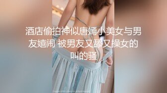 -麻豆传媒 MD0150-4 疫情下的背德假期 分手炮篇 苏清歌