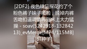 [2DF2] 夜色精品探花约了个粉色裤子妹子啪啪，脱掉内裤舌吻扣逼调情再到床上大力猛操 - soav(5242918-13284213)_evMerge[MP4/115MB][BT种子]