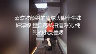 你的女神有钱人的母狗，推特金主【优雅金领S】订阅 有钱又会玩女，各种拜金外围女模臣服屌下，露出调教啪啪让人羡慕 (2)