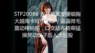 STP20086 双马尾黄发腰细胸大越南卡哇伊萌妹，逼逼微毛震动棒抽插，口交舔弄骑乘猛操晃动奶子后入大屁股