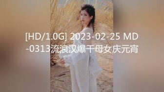 [HD/1.0G] 2023-02-25 MD-0313流浪汉爆干母女庆元宵